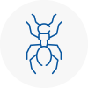 Ant Removals In Freckleton