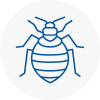 Bed Bug Extermination In Freckleton