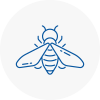 Bee Nest Removal Freckleton