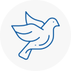 Bird Prevention Freckleton