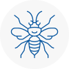 Freckleton Hornet Nest Removals