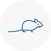 Mice Exterminators In Freckleton