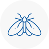 Moth Control Specialists In Freckleton