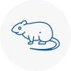 Rat Control Freckleton