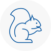 Freckleton Rodent Removals